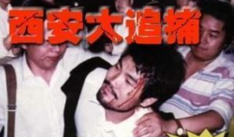 魏振海电视剧全集,风云变幻的一生