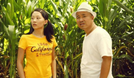 农村爱情电视剧大全,温馨田园，情感交织